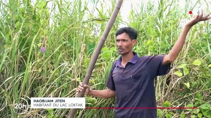 Inde : à la découverte du splendide lac Loktak et ses anneaux de végétation