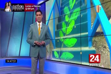 Comas: pintan escaleras comunales para mejorar el barrio