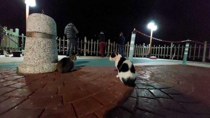 Onlar balıkçıları, balıkçılarda oltayı bekliyor