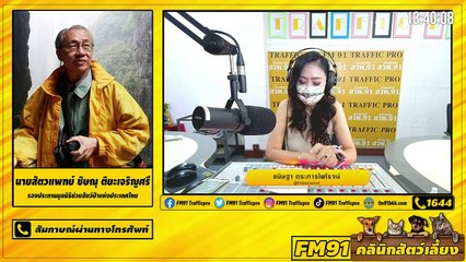 โรคในแมวที่ต้องฉีดวัคซีนมีอะไรบ้าง EP.3 : FM91 คลินิกสัตว์เลี้ยง : 25 กรกฎาคม 2564