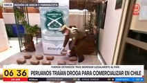 Banda de peruanos es detenida por tráfico de drogas en Arica - TVN