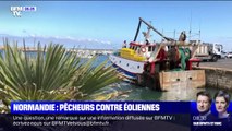 Des pêcheurs se mobilisent contre la construction d'un parc éolien au large des côtes normandes
