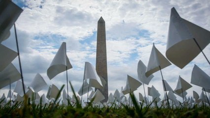 भावुक कर देगा 6.81 लाख अमेरिकियों की याद में बने Covid Memorial का नजारा