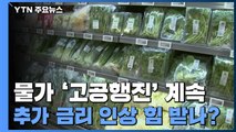 생산자물가지수 '역대 최고'...10개월 연속 상승 / YTN