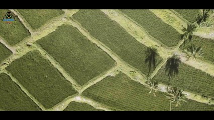 CIPINANG Darso  NANIH Cover Pop Sunda Official Music