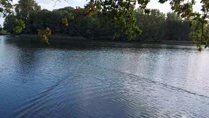 Jetzt geht es weiter hinaus am 22.09.2021