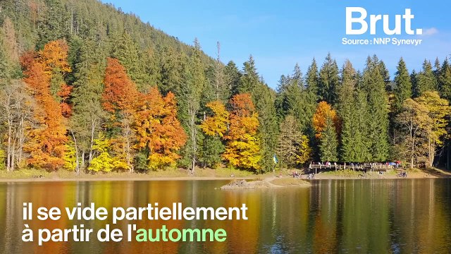 Synevyr, l'un des plus beaux paysages d'Ukraine