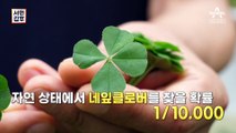 [예고] (실화?) 행운의 상징 '네잎클로버'로 갑부가 남자!