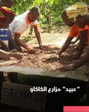 دعوى قضائية ضد 3 شركات شيكولاتة بسبب استغلال الأطفال