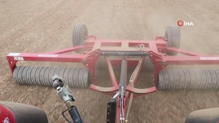 Trakya'nın 'sarı altın çiçeği' kanola için tohumlar saçıldı