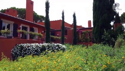 Devoted dog couldn't stop crying at the shelter after he realized that he had been abandoned_