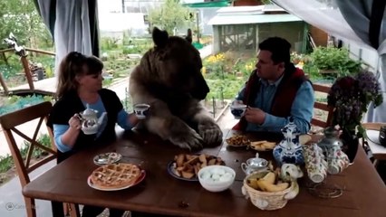 Unbelievable Friendship Between Humans and Wild Animals(720p)