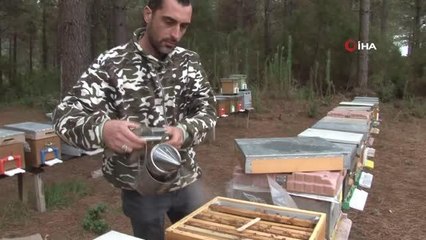 İstanbul'da arıcılığa başladı, şimdi bal siparişlerine yetişemiyor