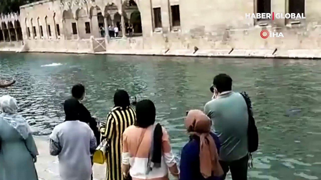 İnsanların arasında Balıklıgöl’e atlayıp yüzmeye başladı!