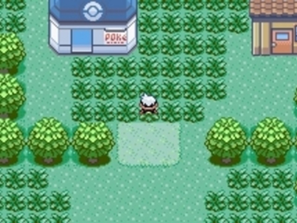 Pokmon missigno2