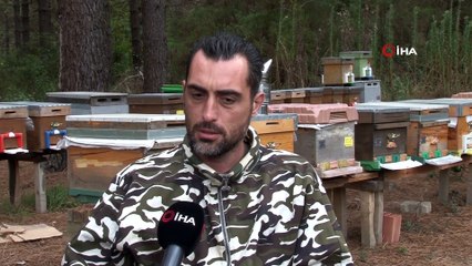 İstanbul’da Başladığı Arıcılıkta Bal Siparişlerine Yetişemiyor