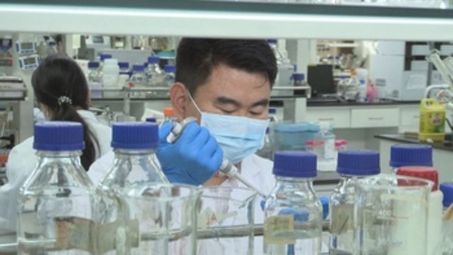 Científicos chinos sintetizan por primera vez almidón a partir de CO2