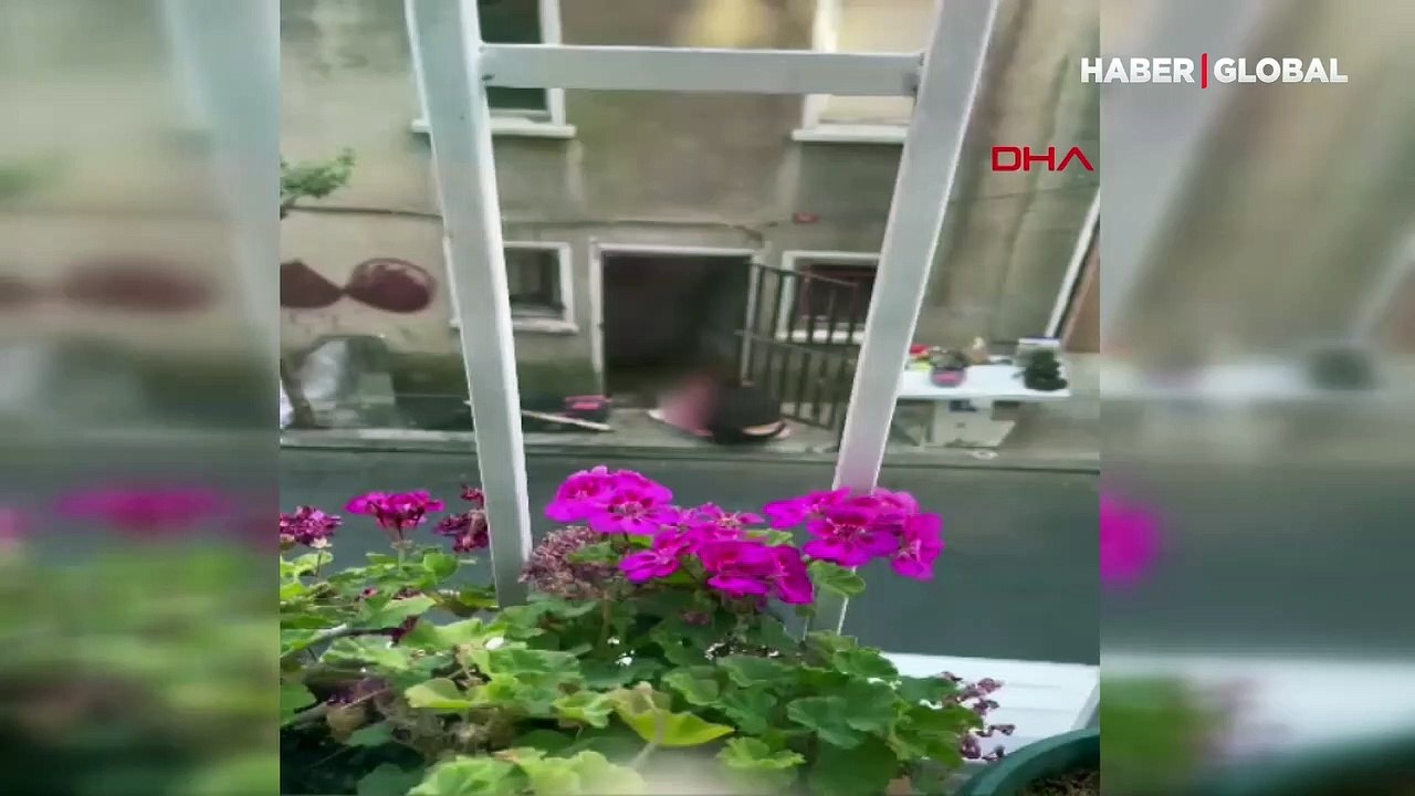 İstanbul'da dehşet evi! Kediyi boyayıp cama astı: Ben sanat yaptım, siz ne anlarsınız