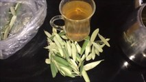 Zeytin Yaprağı Çayı Nasıl Hazırlanır Faydaları Kullanımı