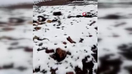 Sivas'ta mevsimin ilk karı düştü