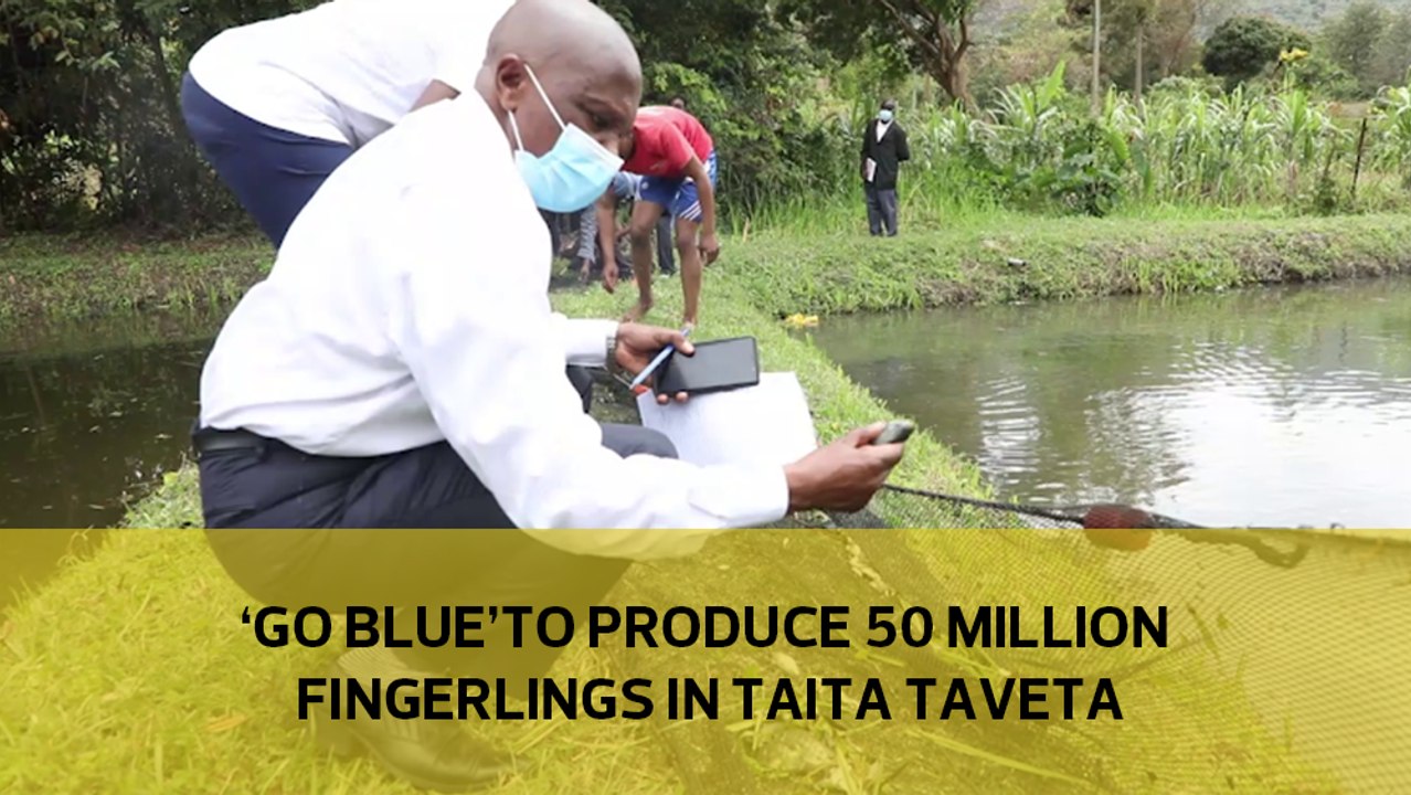 'Go Blue' to produce 50 million fingerlings in Taita Taveta