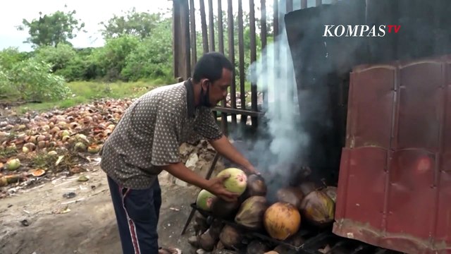 Minuman Unik!! Kelapa Bakar Yang Terjual Laris di Pasar