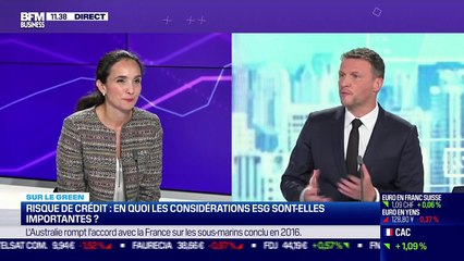 Sur le green : Critères ESG, des implications toujours négatives sur les sociétés ? - 16/09