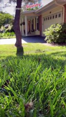 Top Trending   The Best TikTok Videos Compilation - Ep. #87