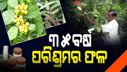 Meet Odisha's Patayat Sahu Whom PM Modi Praised For Creating Medicinal Plant Garden