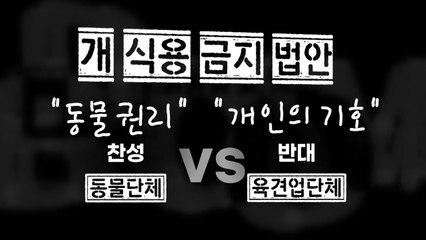 [영상] 보신탕집 이제 사라지나?...'개 식용 금지' 어디로 / YTN