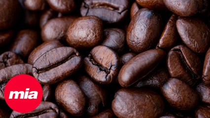 ¿De dónde viene el café más caro del mundo?