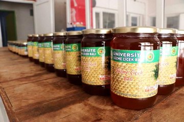 Ziraat Fakültesinden en tatlı üretim: 3 ayda 2,5 ton bal