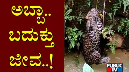 Forest Officials Rescue Cheetah From A Well In Udupi | Public Music