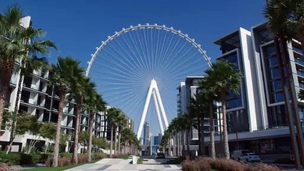 Ain Dubai: World's Largest Observation Wheel 🌍