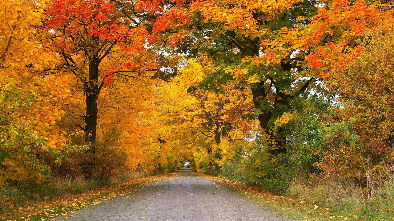Schnelltests, Tankstellen und Krankschreibung: Das ändert sich im Oktober 2021