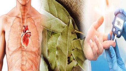 Diabetes और Heart Patient को तेजपत्ता क्यों खाना चाहिए , जबरदस्त मिलेगा फायदा | Boldsky