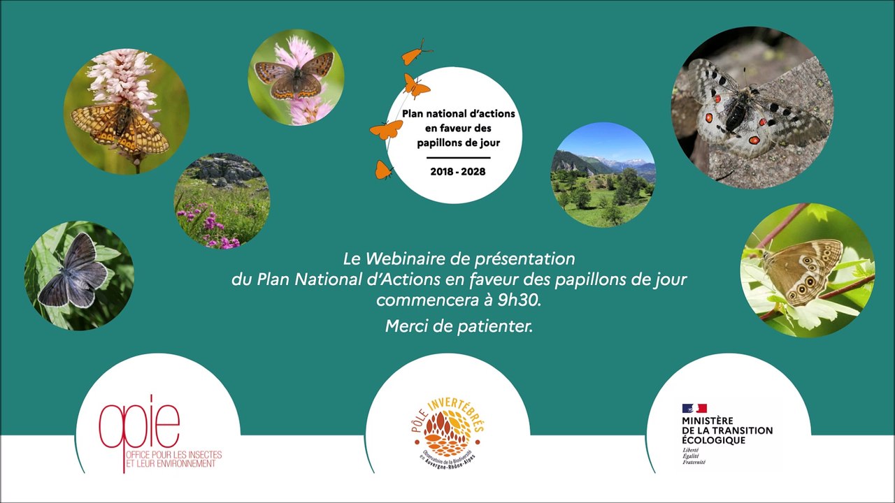 Plan national d'action pour les papillons de jour - Webinaire Grand Public 2021