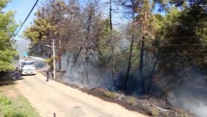 Alanya'da zirai alanda çıkan yangın söndürüldü