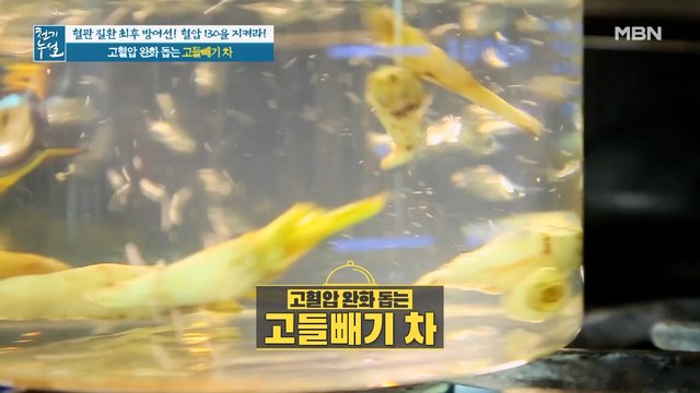 고혈압 예방 돕는 고들빼기 섭취법 [고들빼기 차]