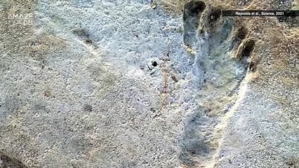 Earliest Human Footprints In North America Found in New Mexico