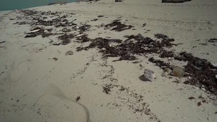 210920 Expo Hb Hammourhouse Teaser