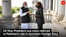 US Vice-President suo motu referred to Pakistan's role in terrorism: Foreign Secy