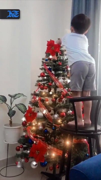 Early Christmas - Tree