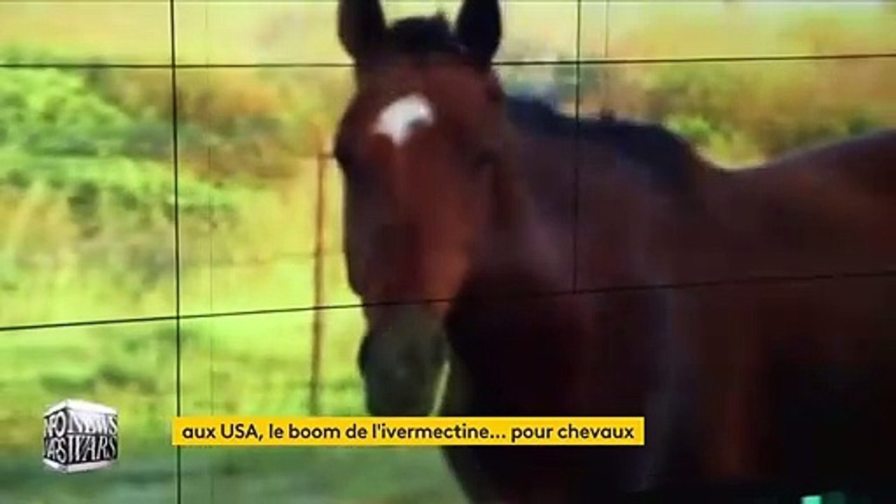 Covid-19 : aux États-Unis, certains tentent de se soigner avec un médicament pour les chevaux