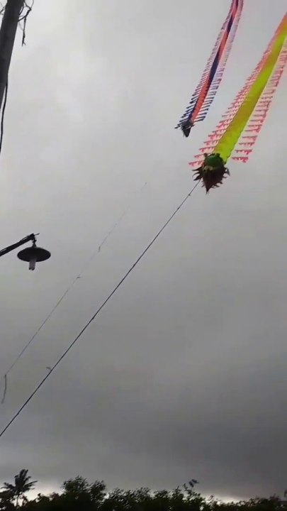dragon kite flying in the rain