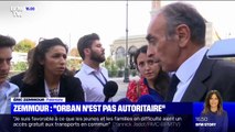 Eric Zemmour: 