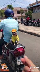 Cute Is Not Enough  Funny Cats and Dogs Videos Compilation 2018 #16