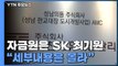 화천대유 '전주'의 자금원은 SK 최기원...