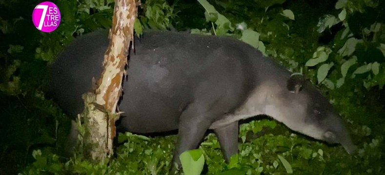 7est-festival-danta-230921