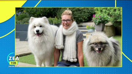 Mujer se hace una bufanda con el pelo de sus perros